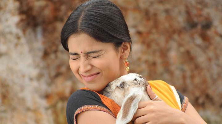 Shriya Saran Closed Eyes Hugging With Goat In Kutty Move